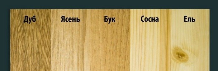 Структура дерева сосна