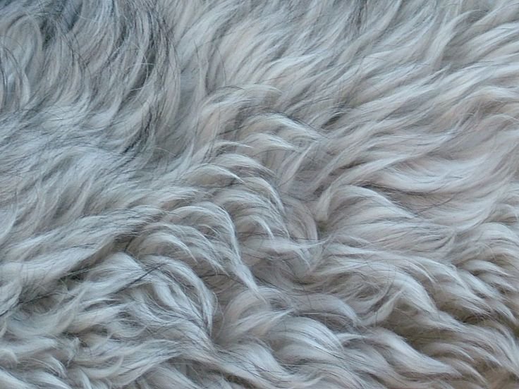 Шерсть собаки