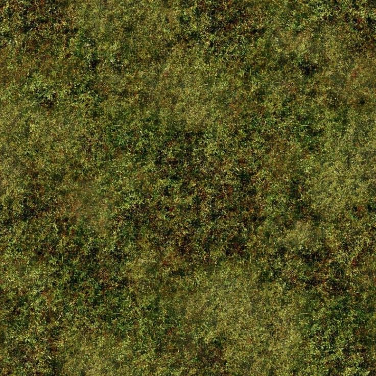 Текстура травы бесшовная