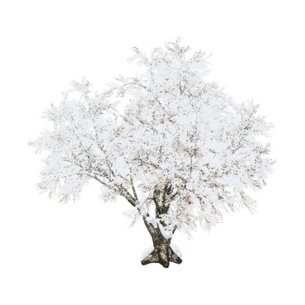 Дерево в снегу без фона