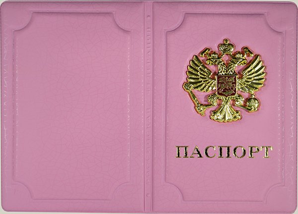 Детские обложки на паспорт