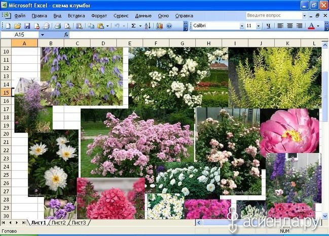Схема Розария из остинок