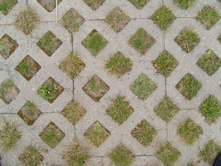 Плитка с травой