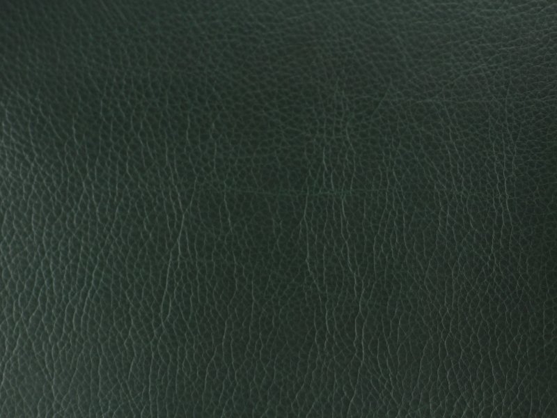 Кожа изумруд 2005