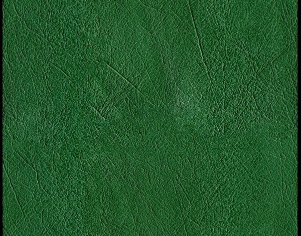 Зеленая кожа