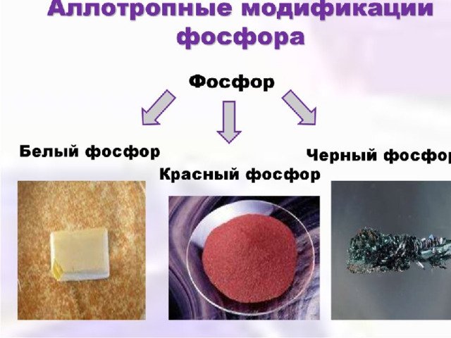 Аллотропия фосфора белый фосфор красный фосфор черный