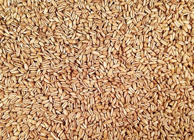 Текстура зерно