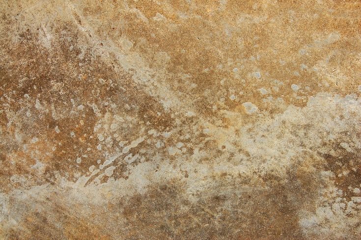 Старая кость текстура