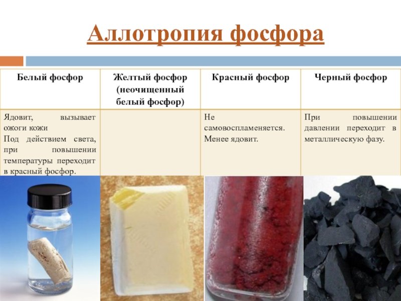 Аллотропия фосфора белый фосфор красный фосфор черный