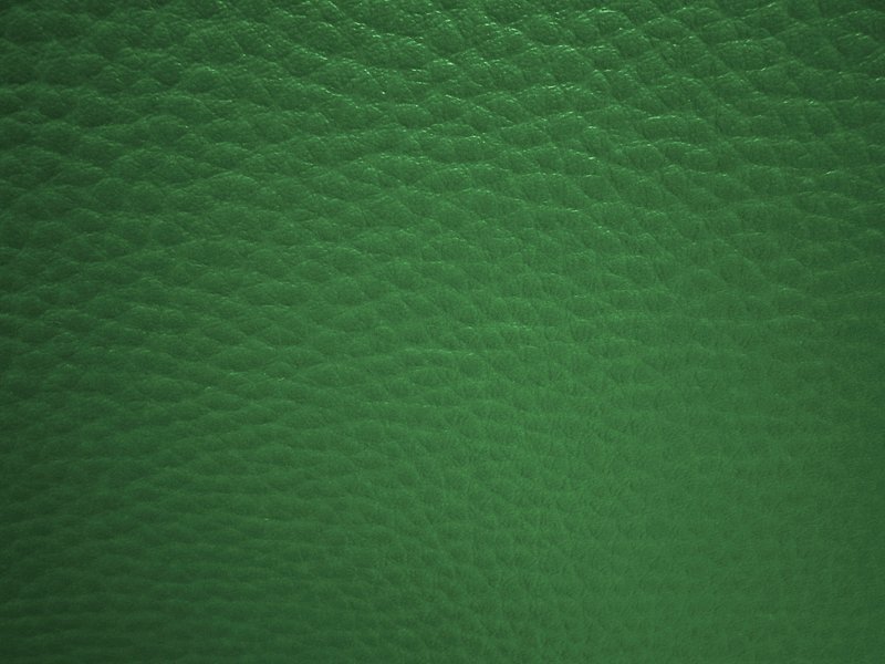 Текстура кожи