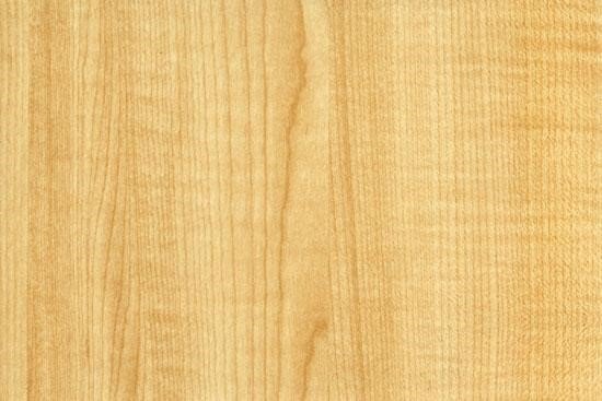 Клен текстура древесины