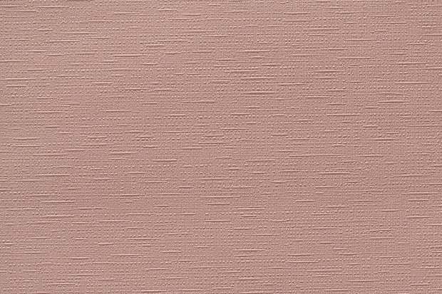 Цвет какао с молоком