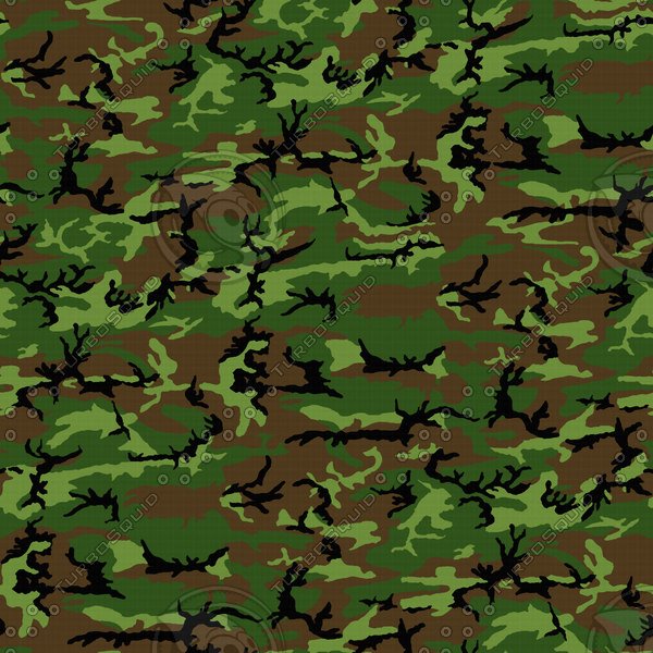 M81 Woodland Camo