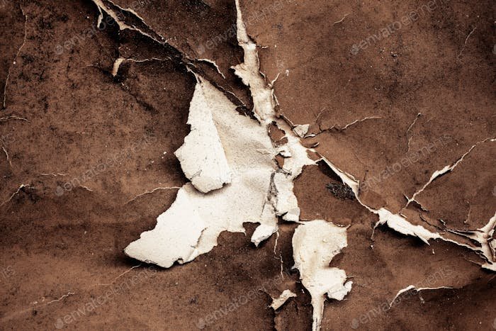 Рваная ткань