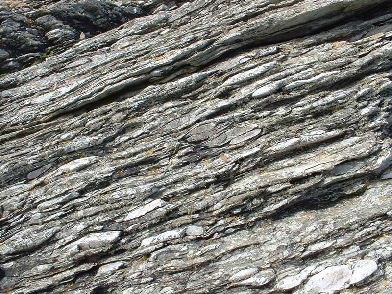 Углисто-глинистые сланцы