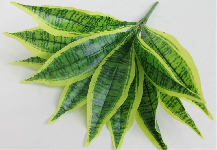 Сансевиерия текстура листа