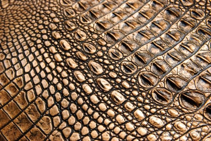 Ткань крокодиловакожа