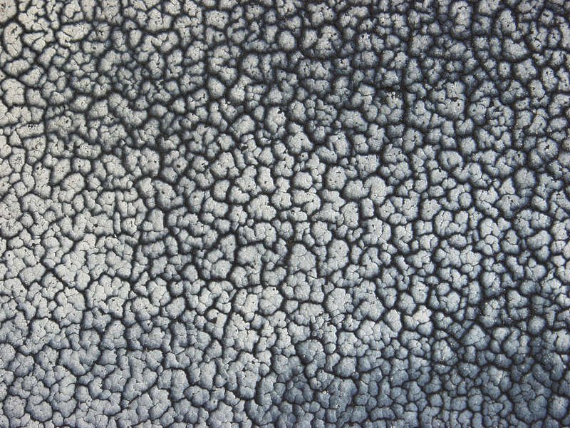 Муар краска порошковая