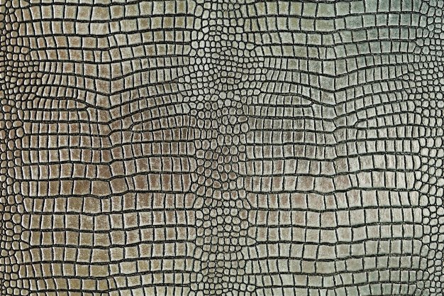 Трафарет кожа крокодила