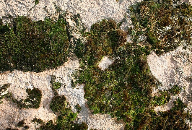 Поверхность скалы