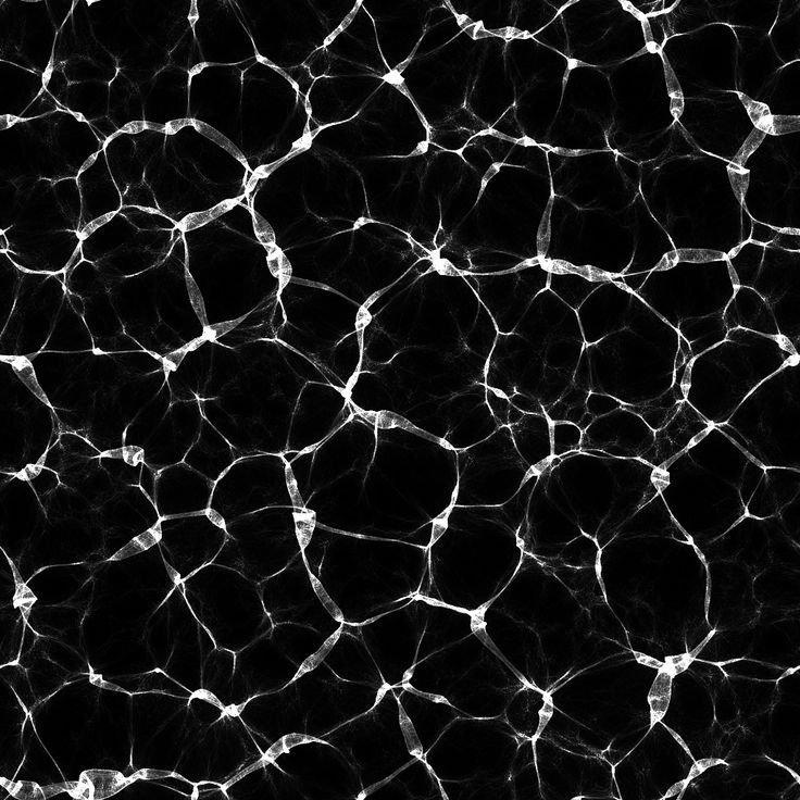 Черно белая фактура