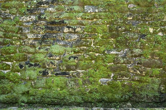 Замшелые каменные кирпичи текстура