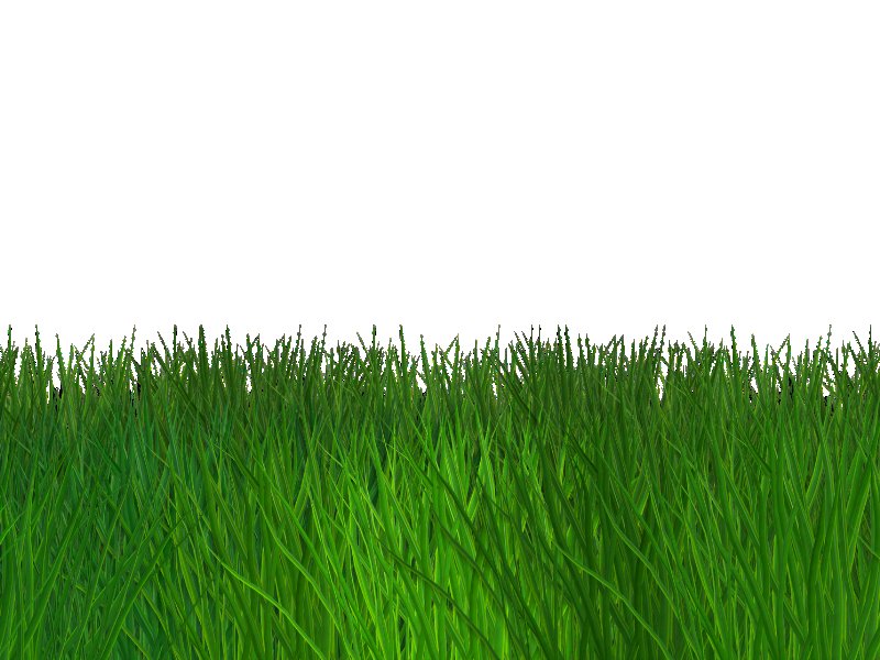 Трава на белом фоне