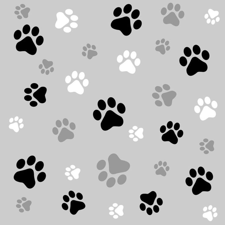 Фон кошачьи лапки