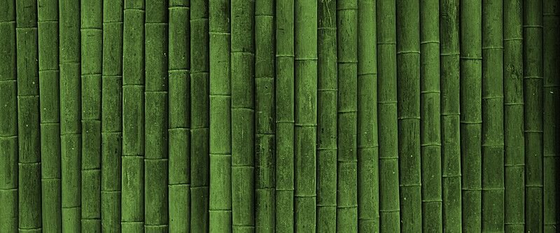 Зеленый бамбук
