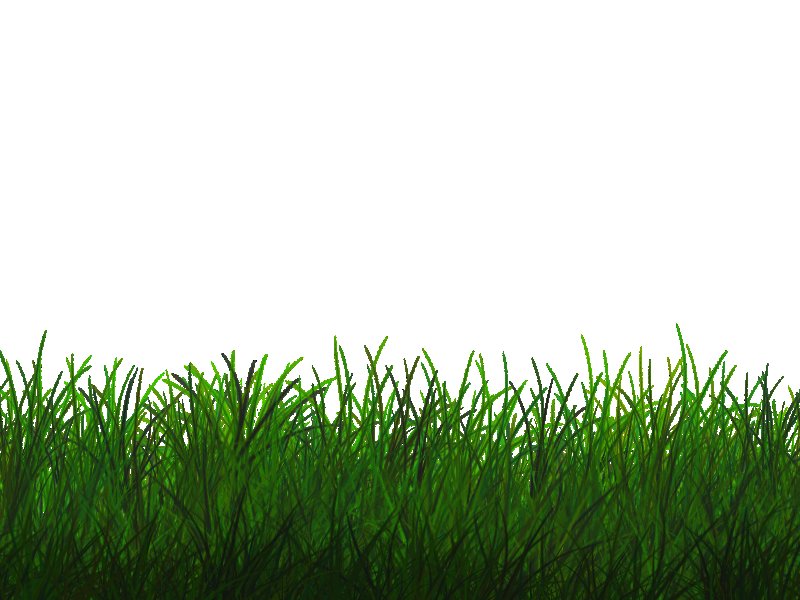 Трава фон