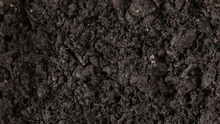 Грунт текстура