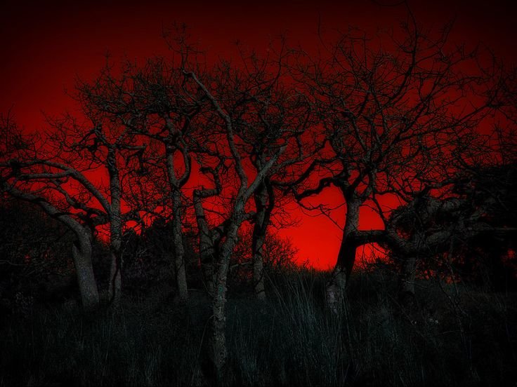 Мрачный пейзаж