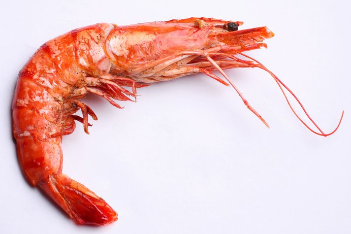 Креветки лангустины