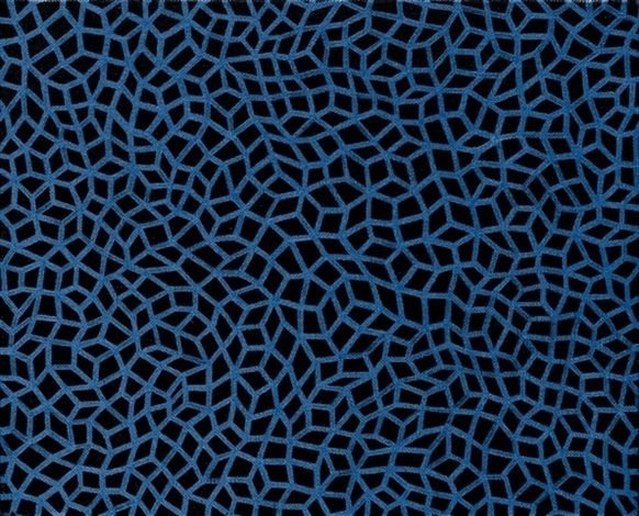 Леопард и синий цвет