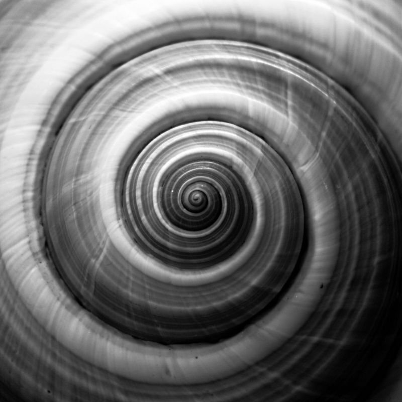 Спираль текстура