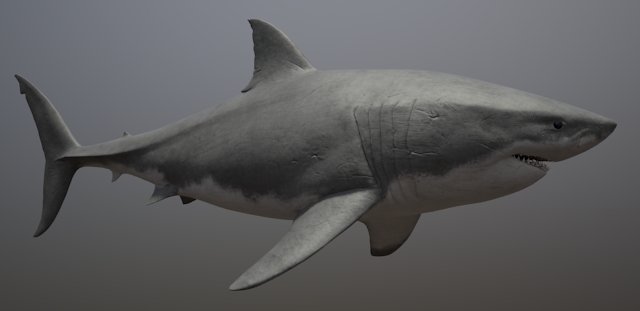 Кожа акулы текстура