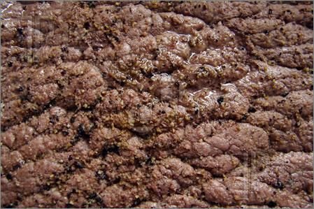 Текстура жареного мяса бесшовная