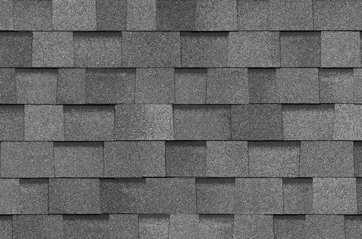 Готик кедр Тегола