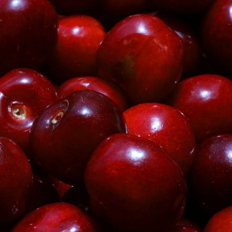 Вишня ягода