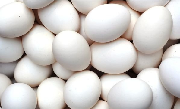 Текстура яйца бесшовная