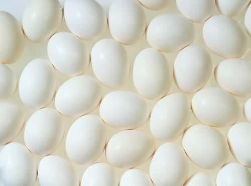 Яйца фон
