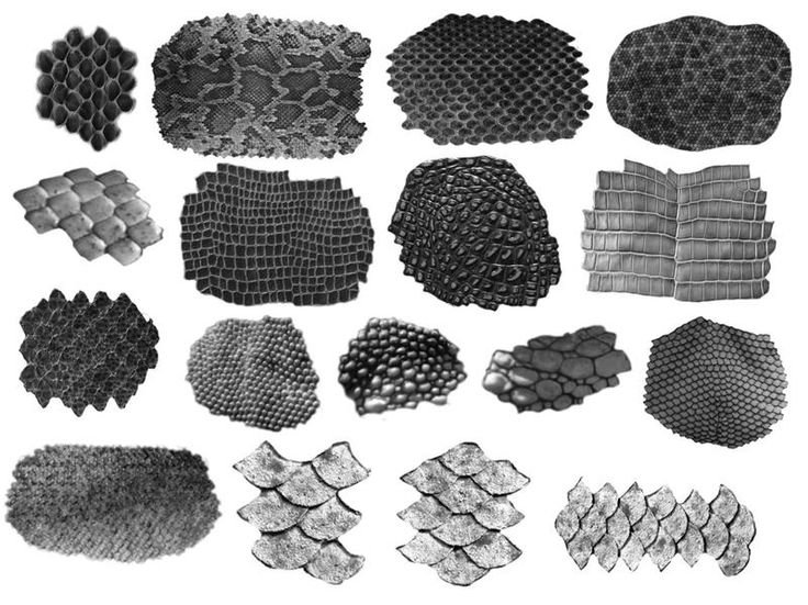 Кисть чешуя для Zbrush