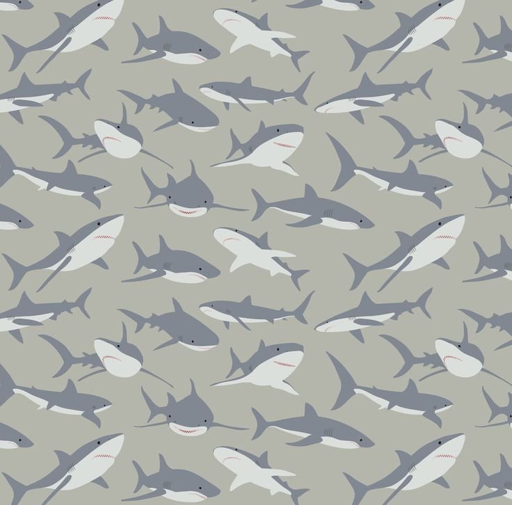 Паттерн акулы