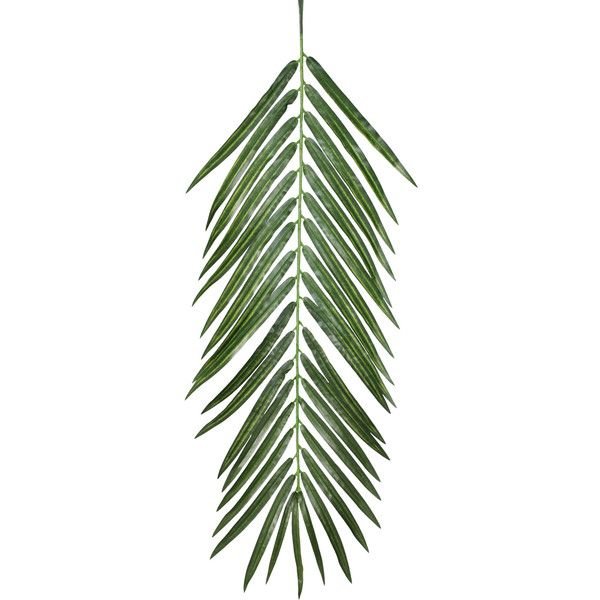 Лист финиковой пальмы