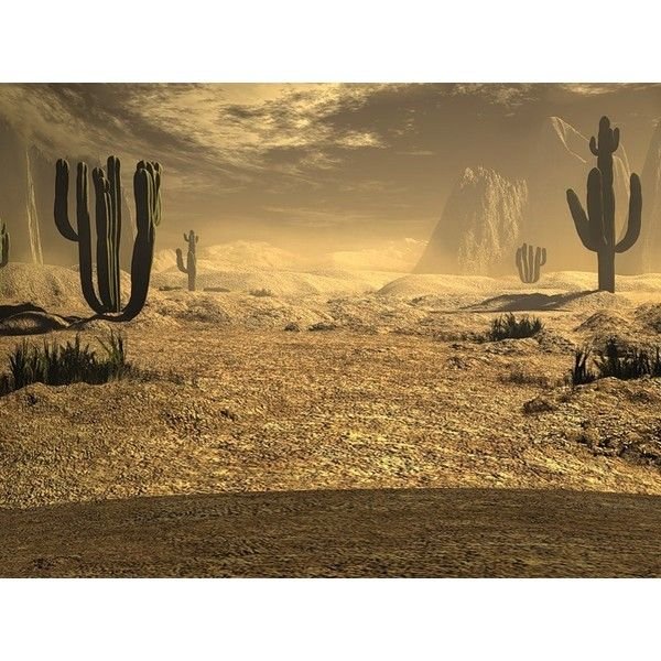 Дикий Запад Пустошь