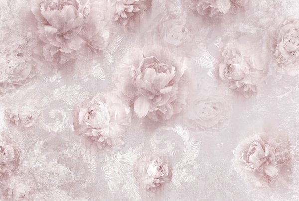 Пудровый фон