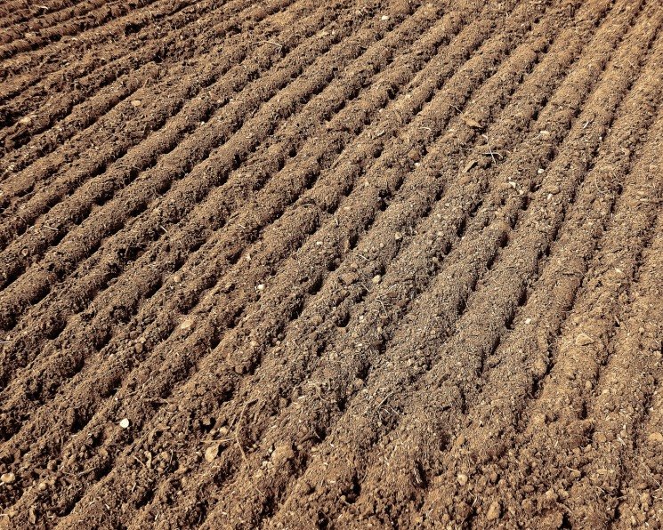 Пахотные земли