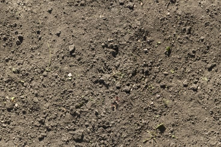 3ds Max текстура суглинок