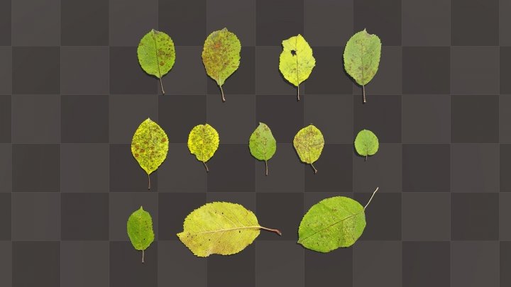 Лист яблони шаблон