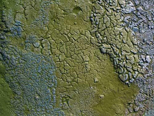 Текстура болота